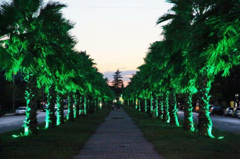 Green Palma كوتايسي المظهر الخارجي الصورة